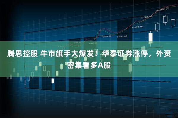 腾思控股 牛市旗手大爆发！华泰证券涨停，外资密集看多A股
