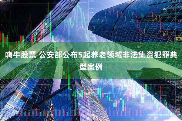 嗨牛股票 公安部公布5起养老领域非法集资犯罪典型案例